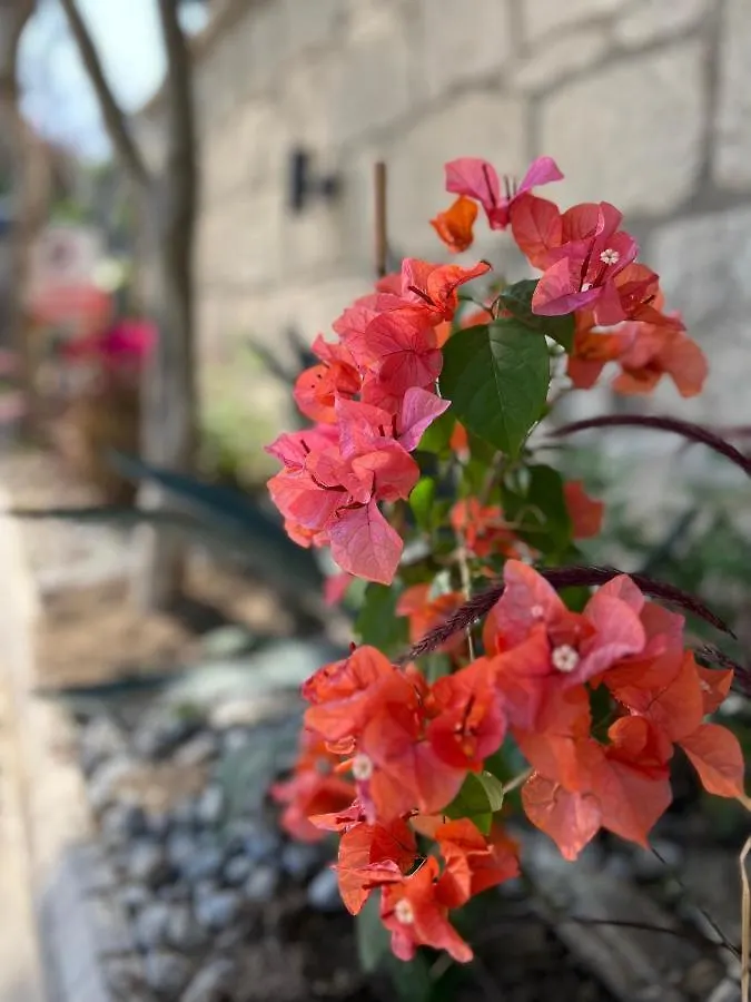 Bed & Breakfast Luna Alaçatı