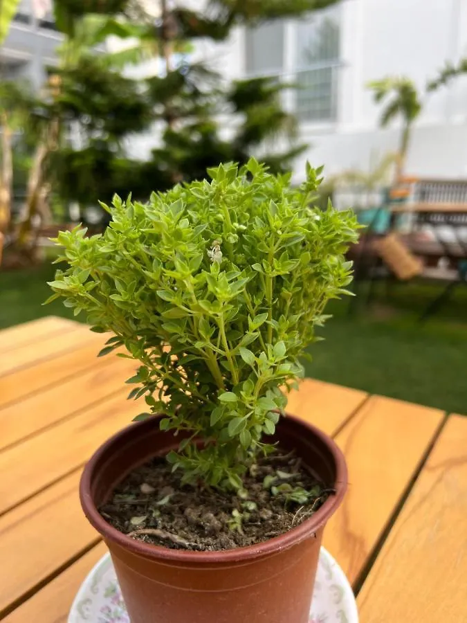 Luna Alaçatı Bed & Breakfast