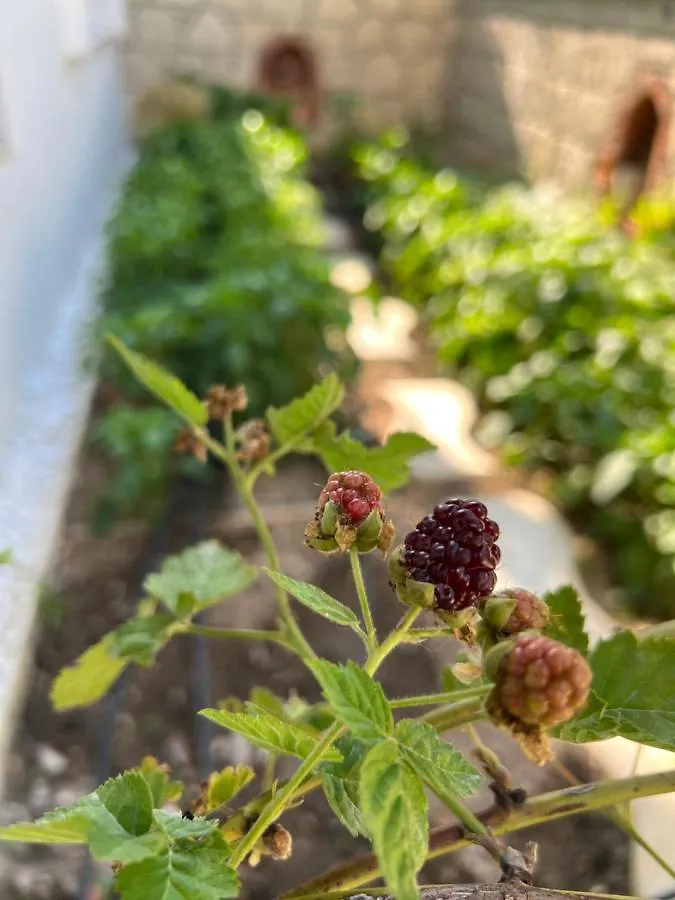 **** Bed & Breakfast Luna Alaçatı Turchia