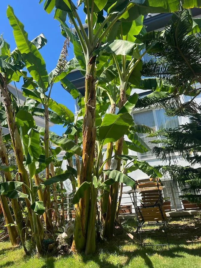 Luna Alaçatı Bed & Breakfast