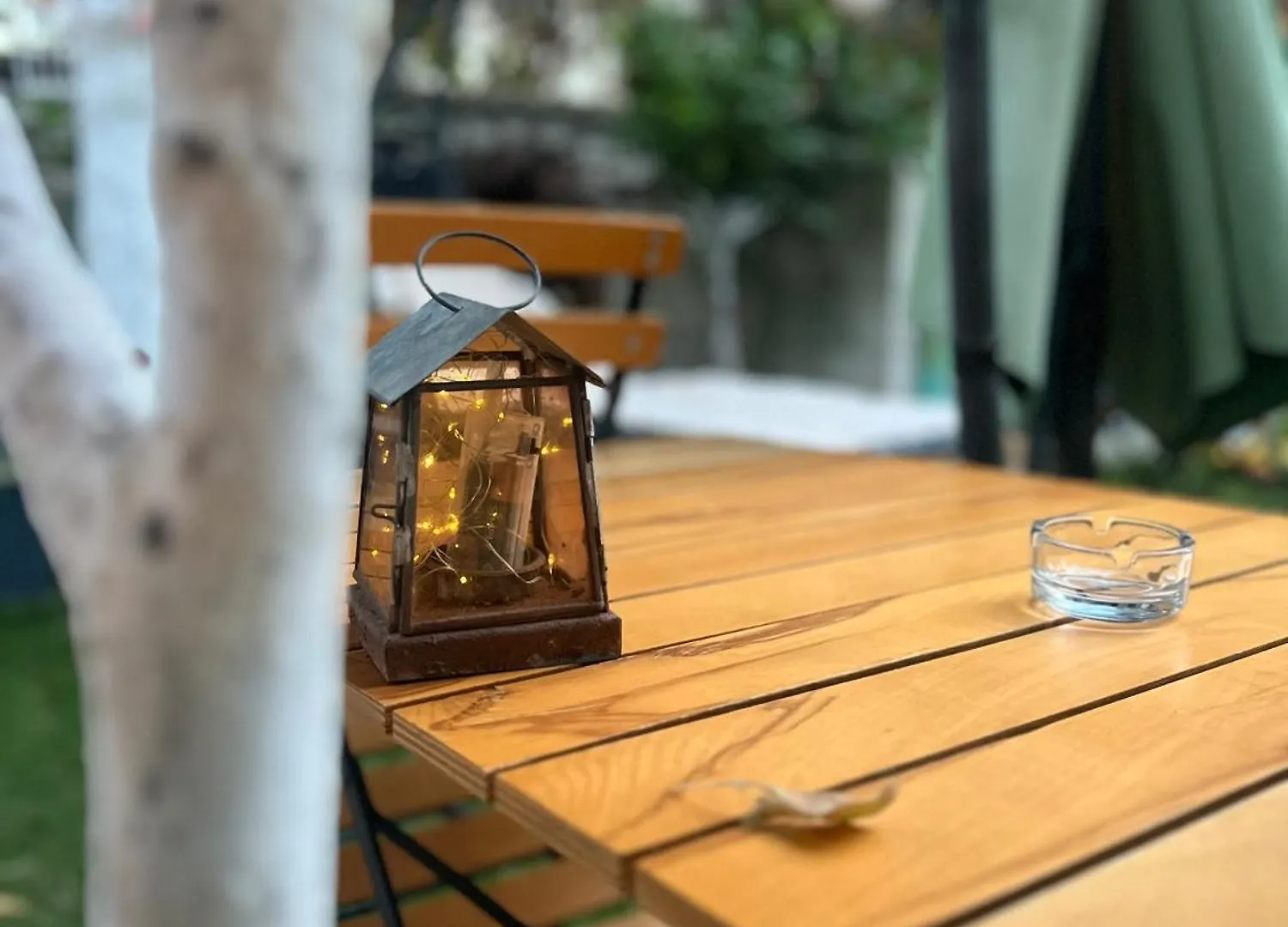 Luna 阿拉恰特 住宿加早餐酒店